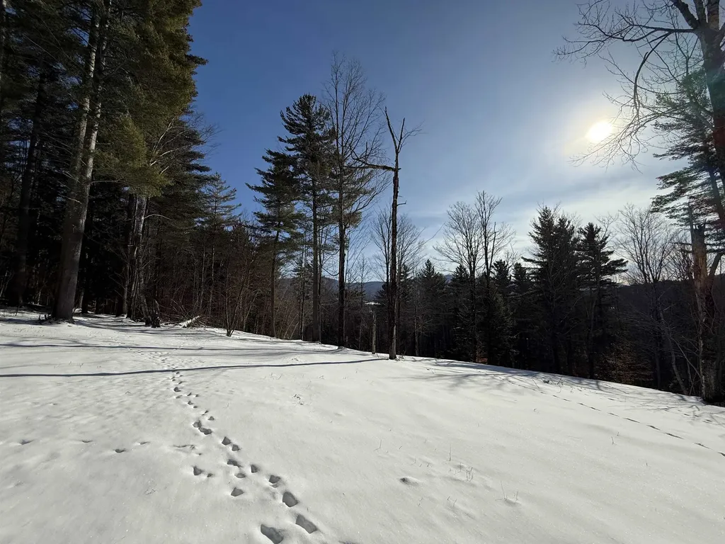 00 Brook Road Warren VT 05674