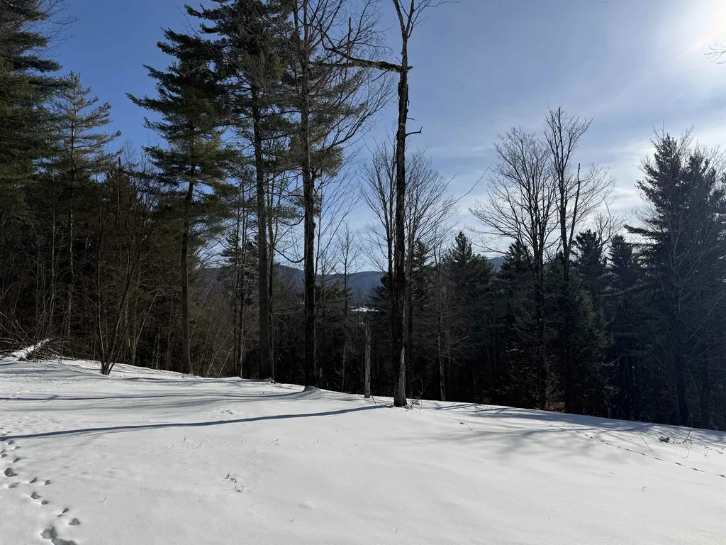 00 Brook Road Warren VT 05674