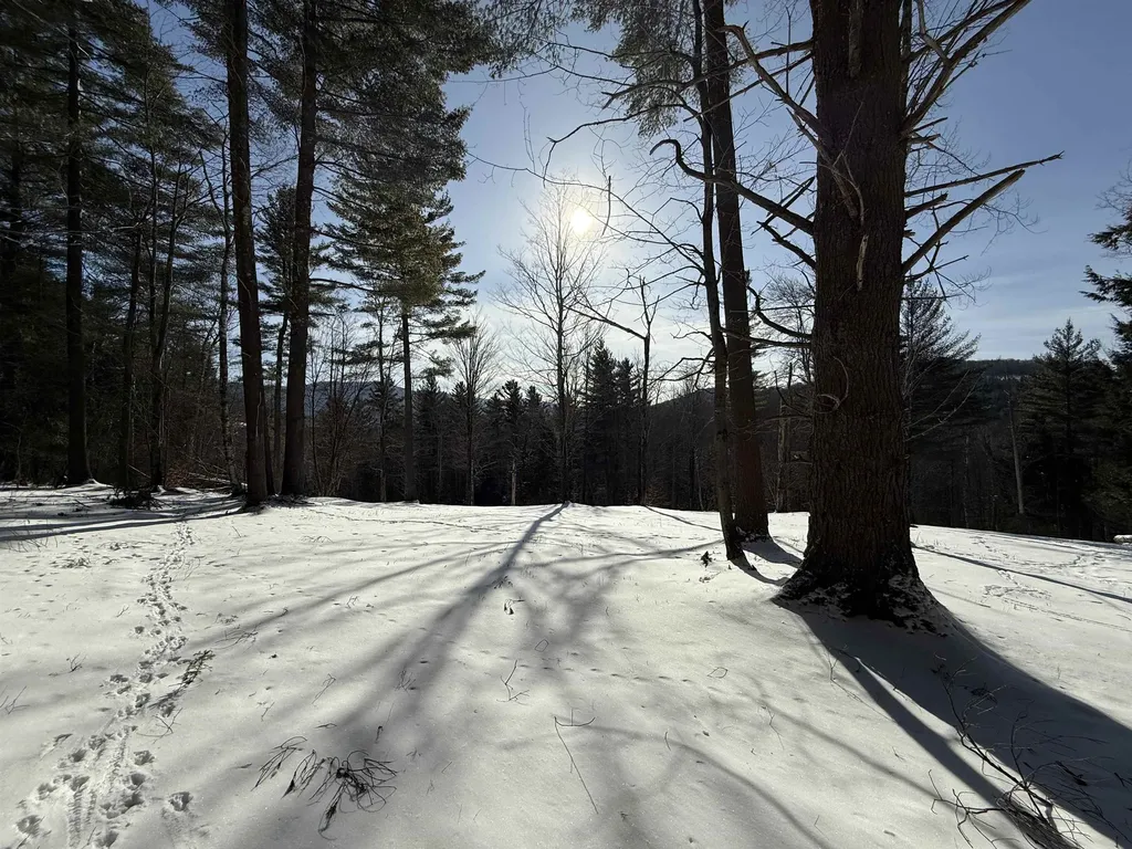 00 Brook Road Warren VT 05674