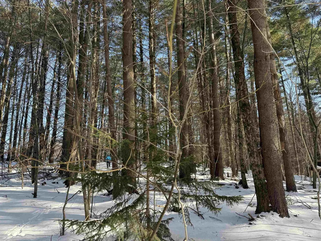 00 Brook Road Warren VT 05674