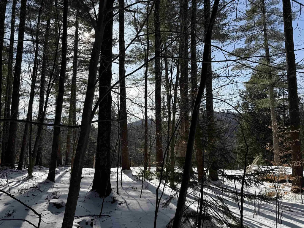 00 Brook Road Warren VT 05674