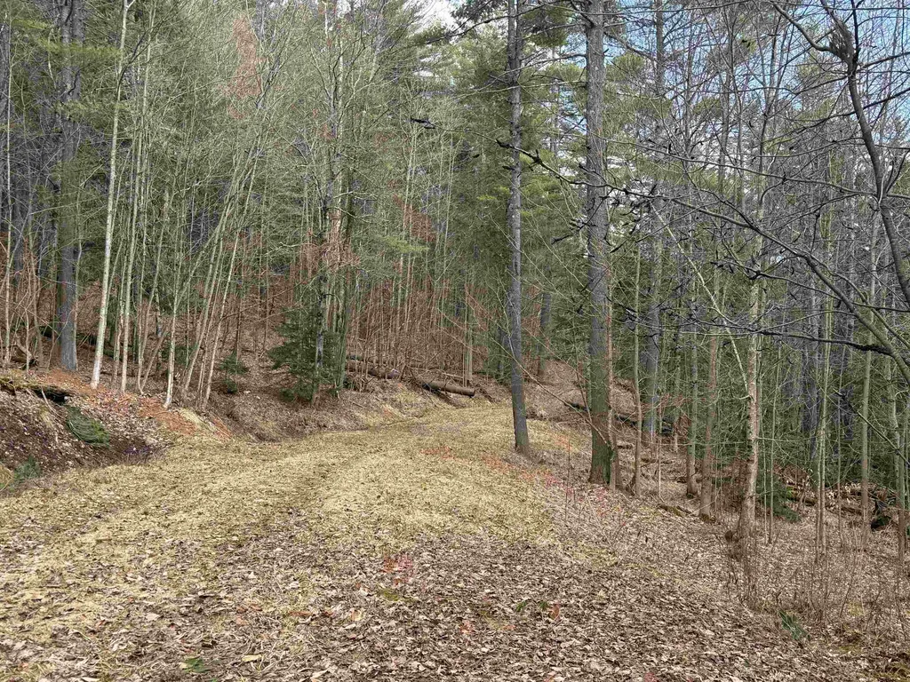 00 Brook Road Warren VT 05674