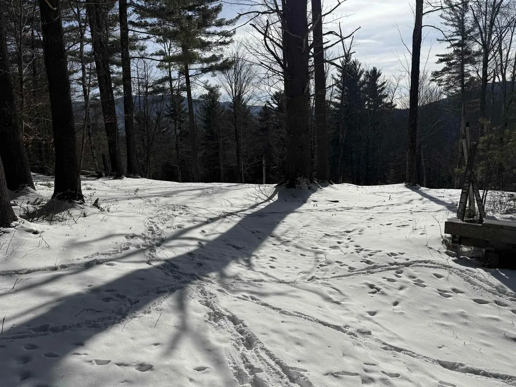 00 Brook Road Warren VT 05674