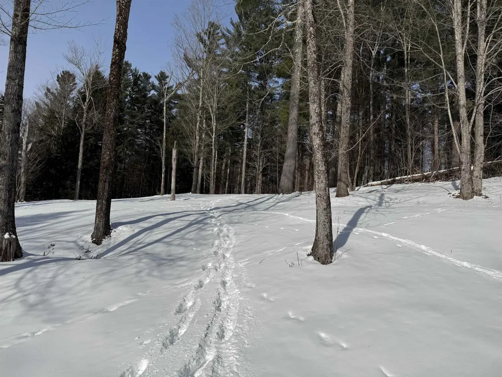 00 Brook Road Warren VT 05674