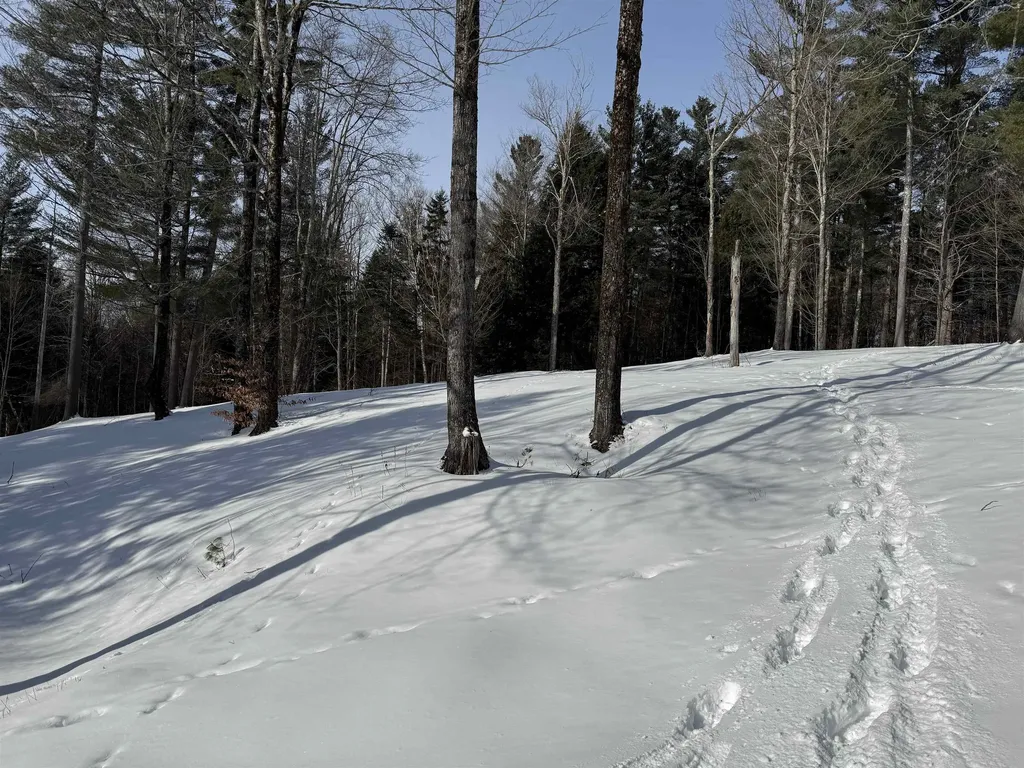 00 Brook Road Warren VT 05674