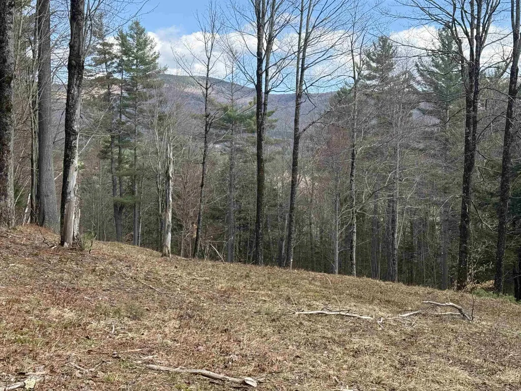 00 Brook Road Warren VT 05674