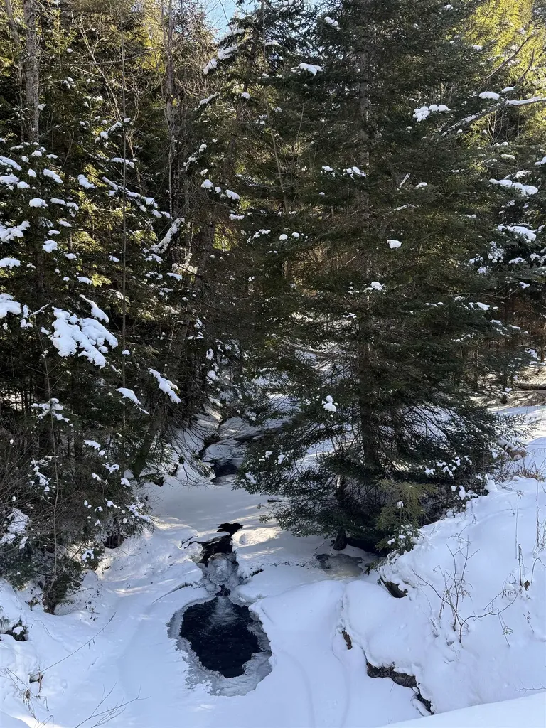 00 Brook Road Warren VT 05674