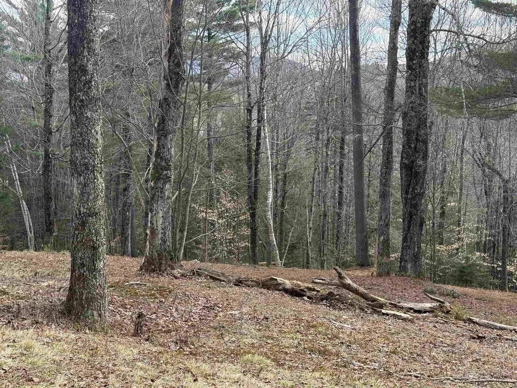 00 Brook Road Warren VT 05674