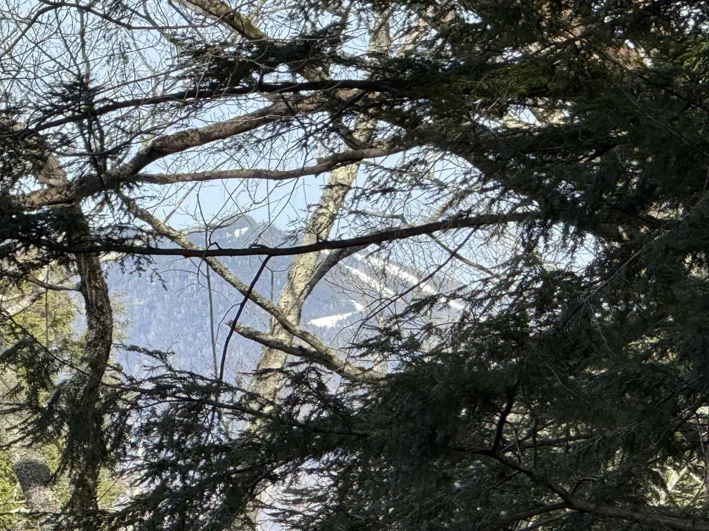 00 Brook Road Warren VT 05674