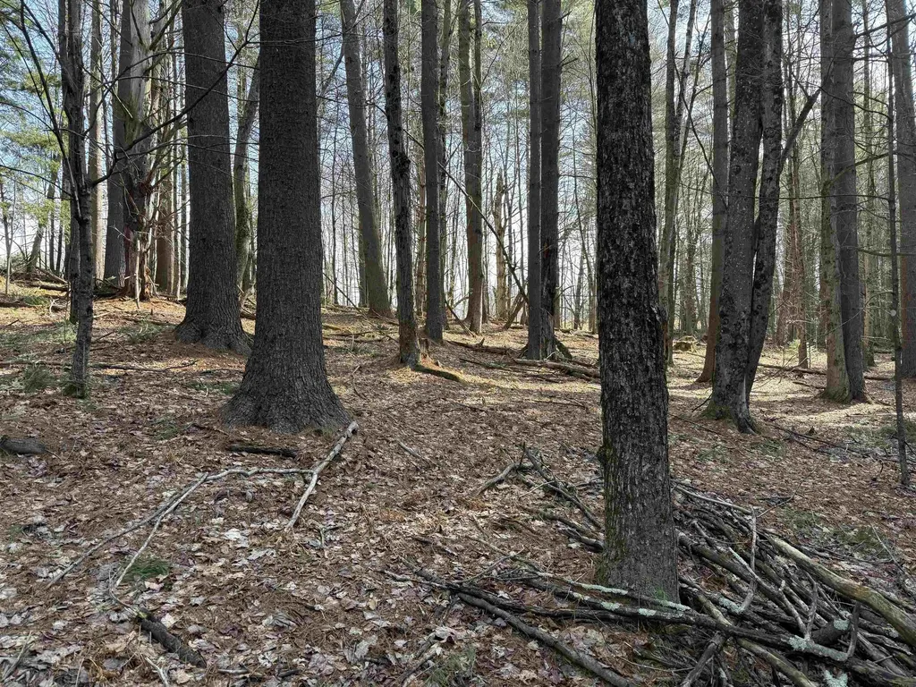 00 Brook Road Warren VT 05674