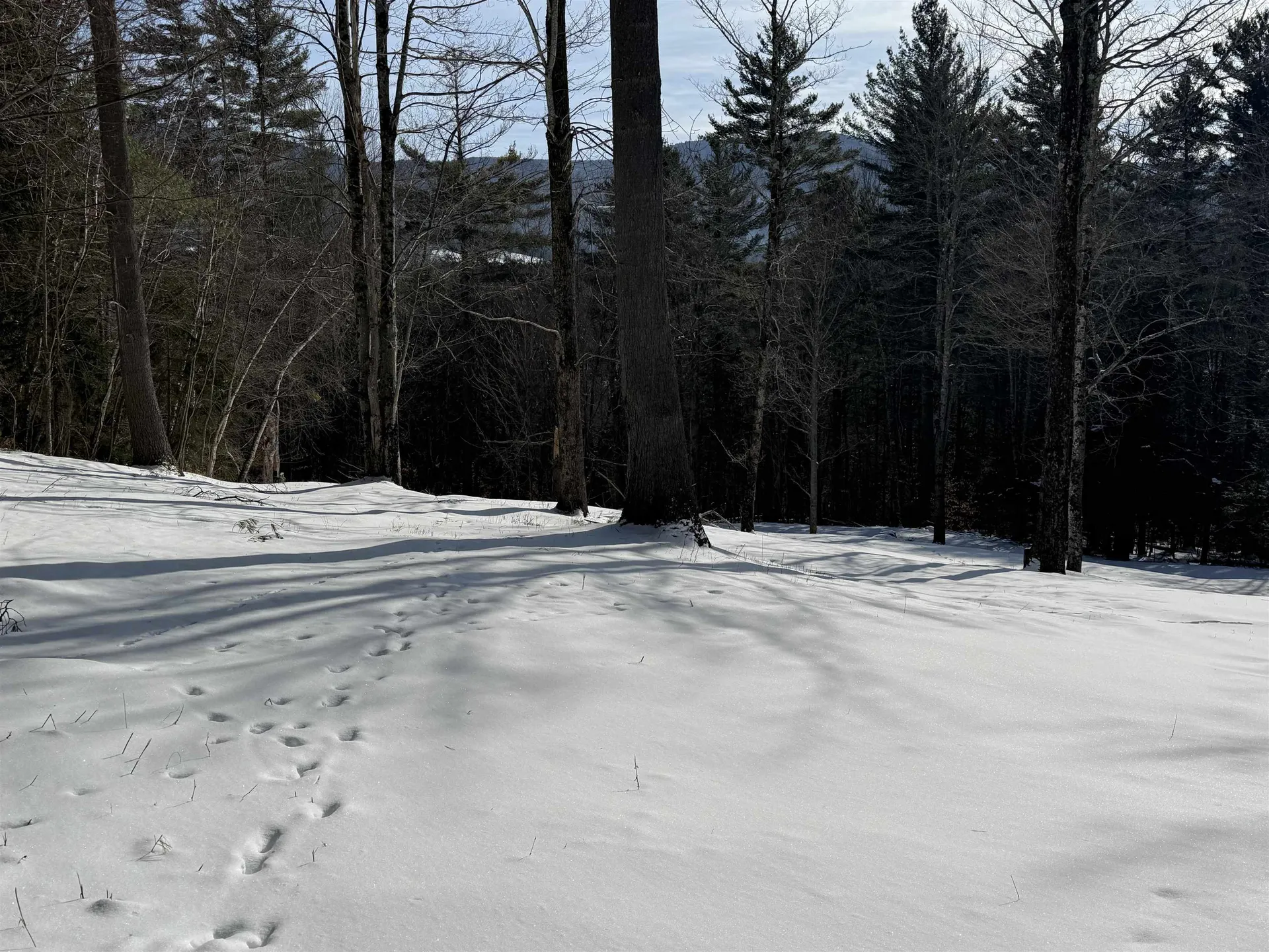 00 Brook Road Warren VT 05674