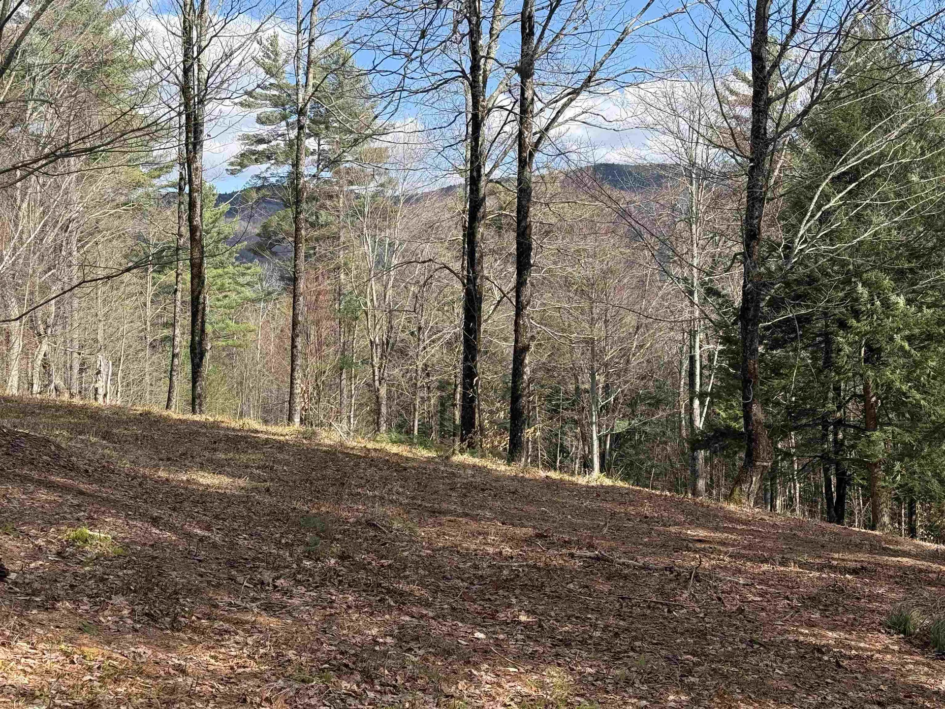 00 Brook Road Warren VT 05674