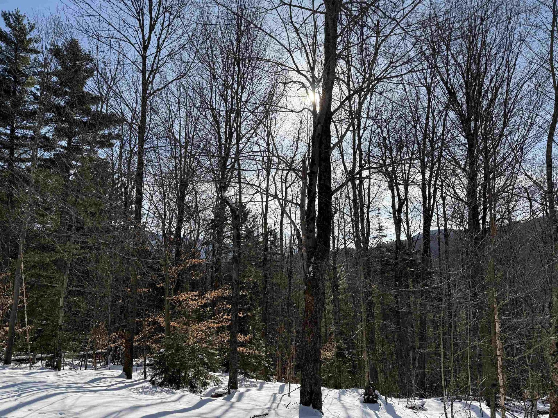 00 Brook Road Warren VT 05674