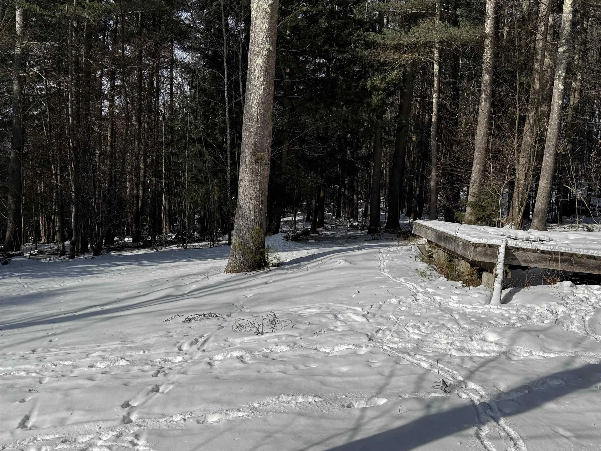 00 Brook Road Warren VT 05674