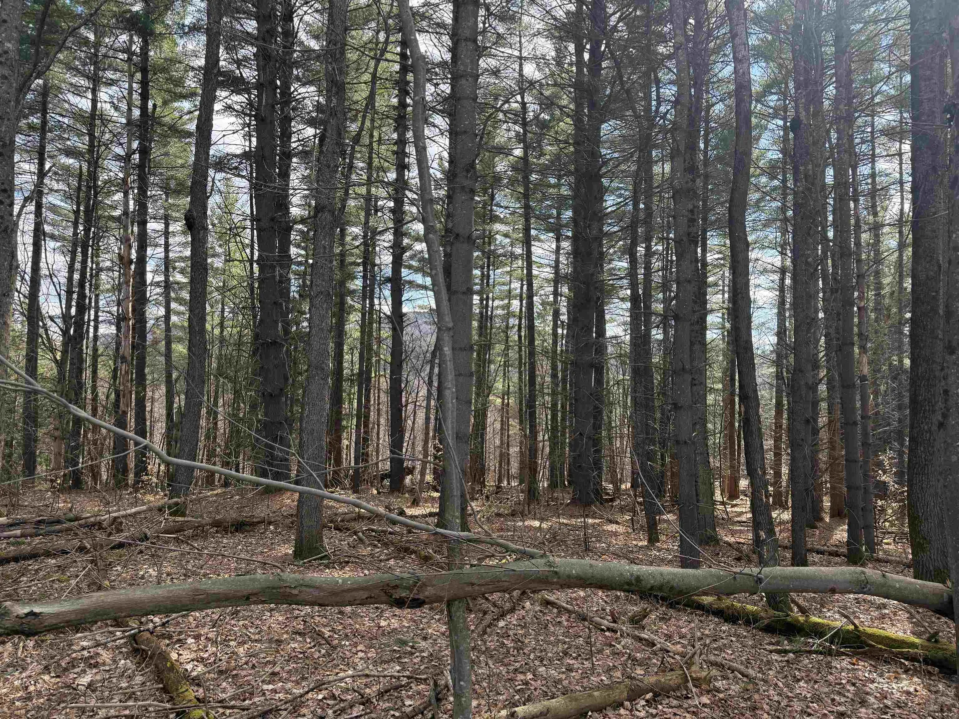 00 Brook Road Warren VT 05674