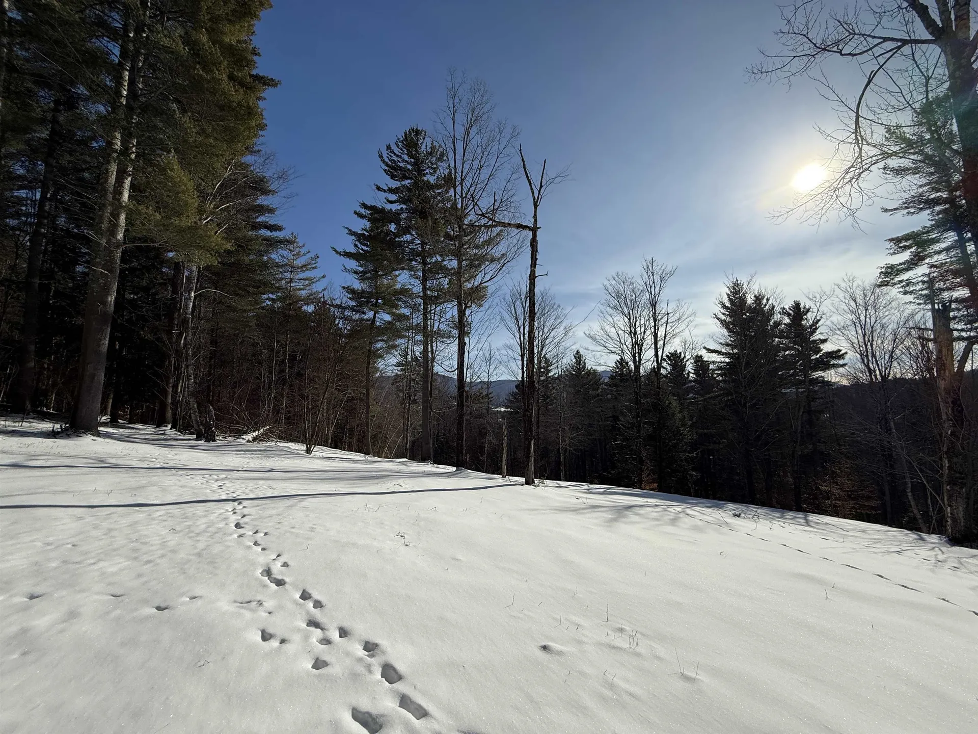 00 Brook Road Warren VT 05674