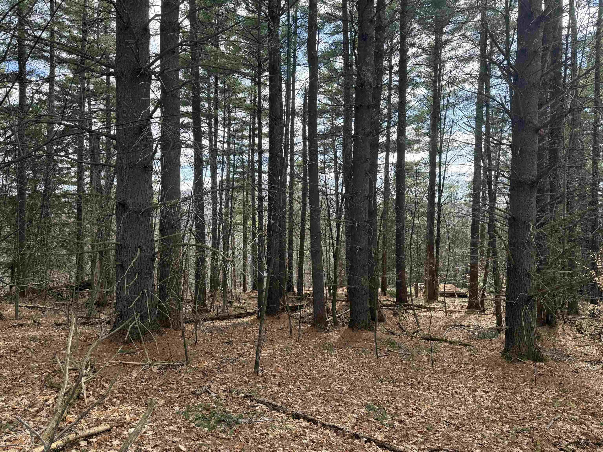 00 Brook Road Warren VT 05674