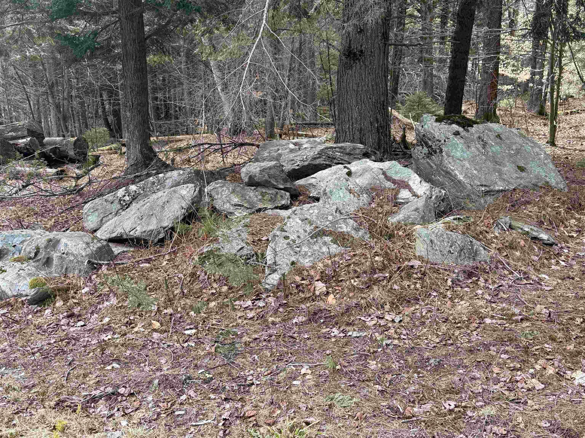 00 Brook Road Warren VT 05674