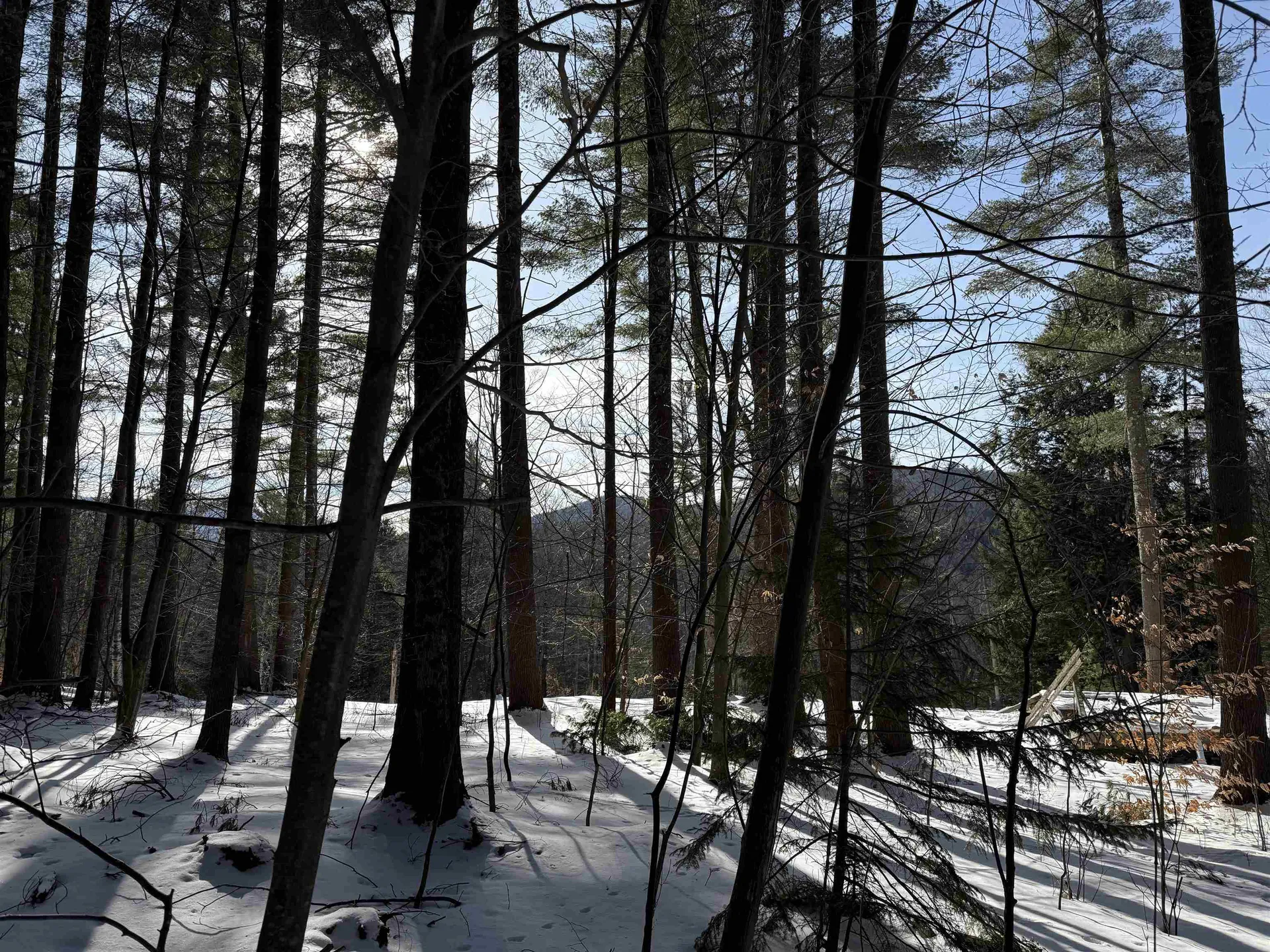 00 Brook Road Warren VT 05674