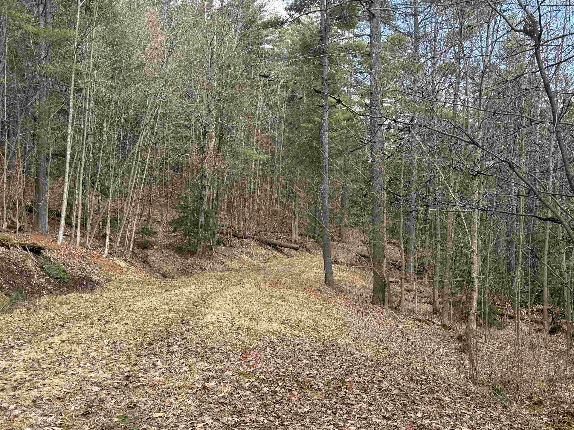 00 Brook Road Warren VT 05674