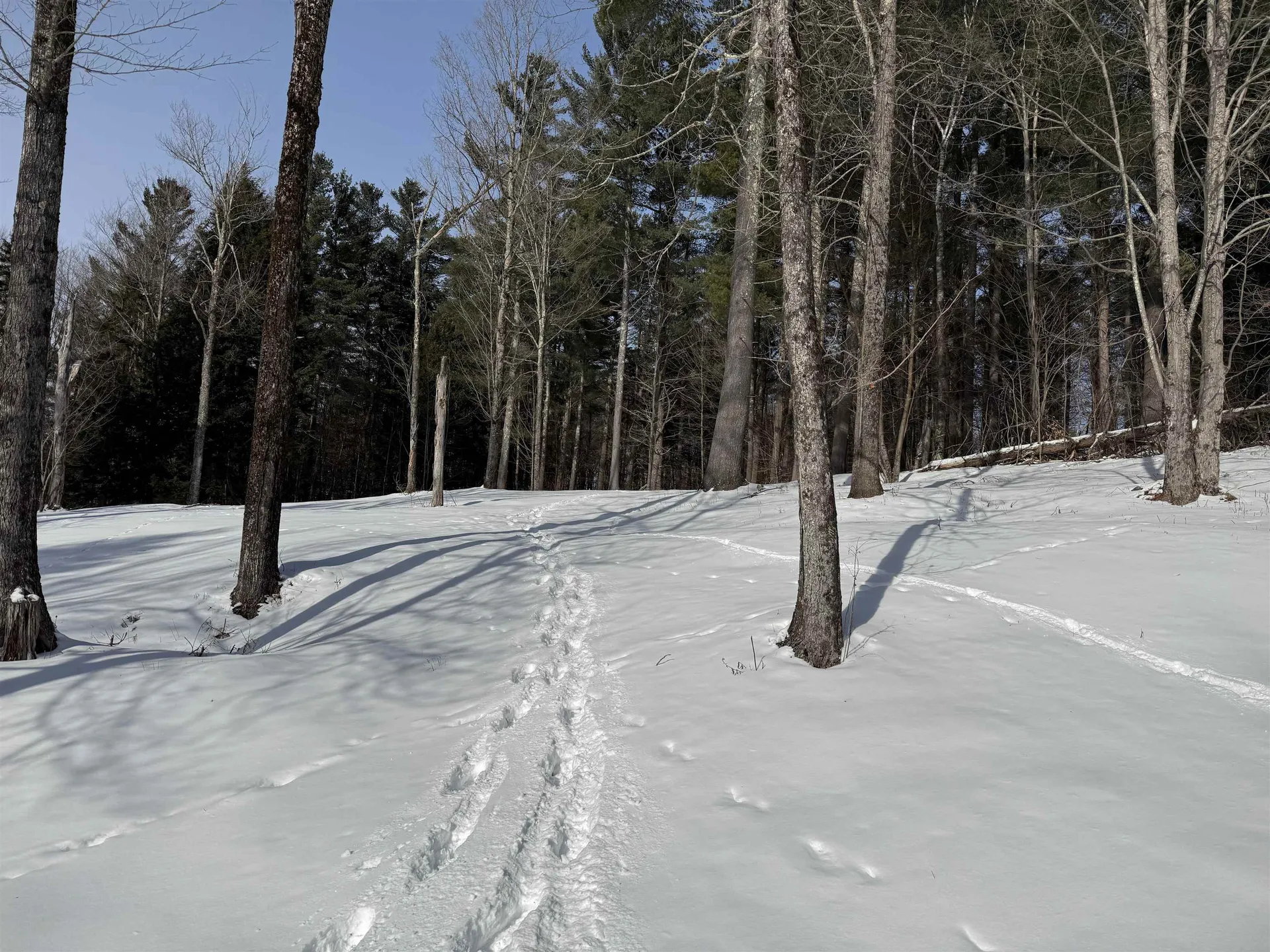 00 Brook Road Warren VT 05674