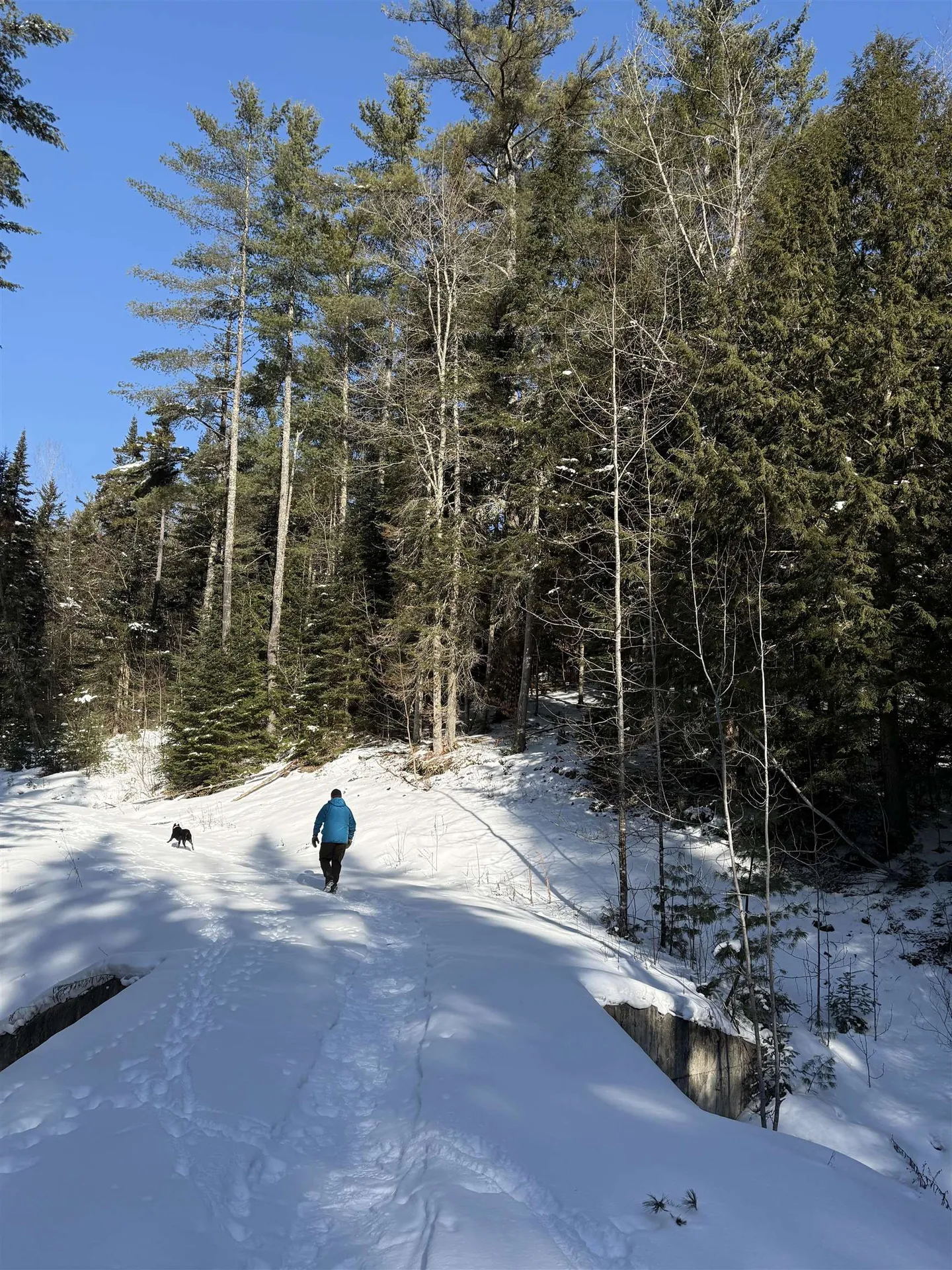 00 Brook Road Warren VT 05674