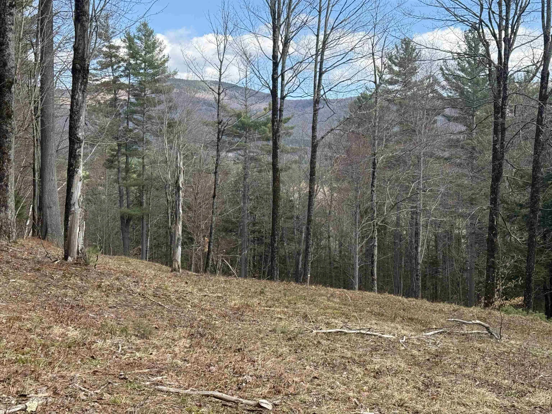 00 Brook Road Warren VT 05674