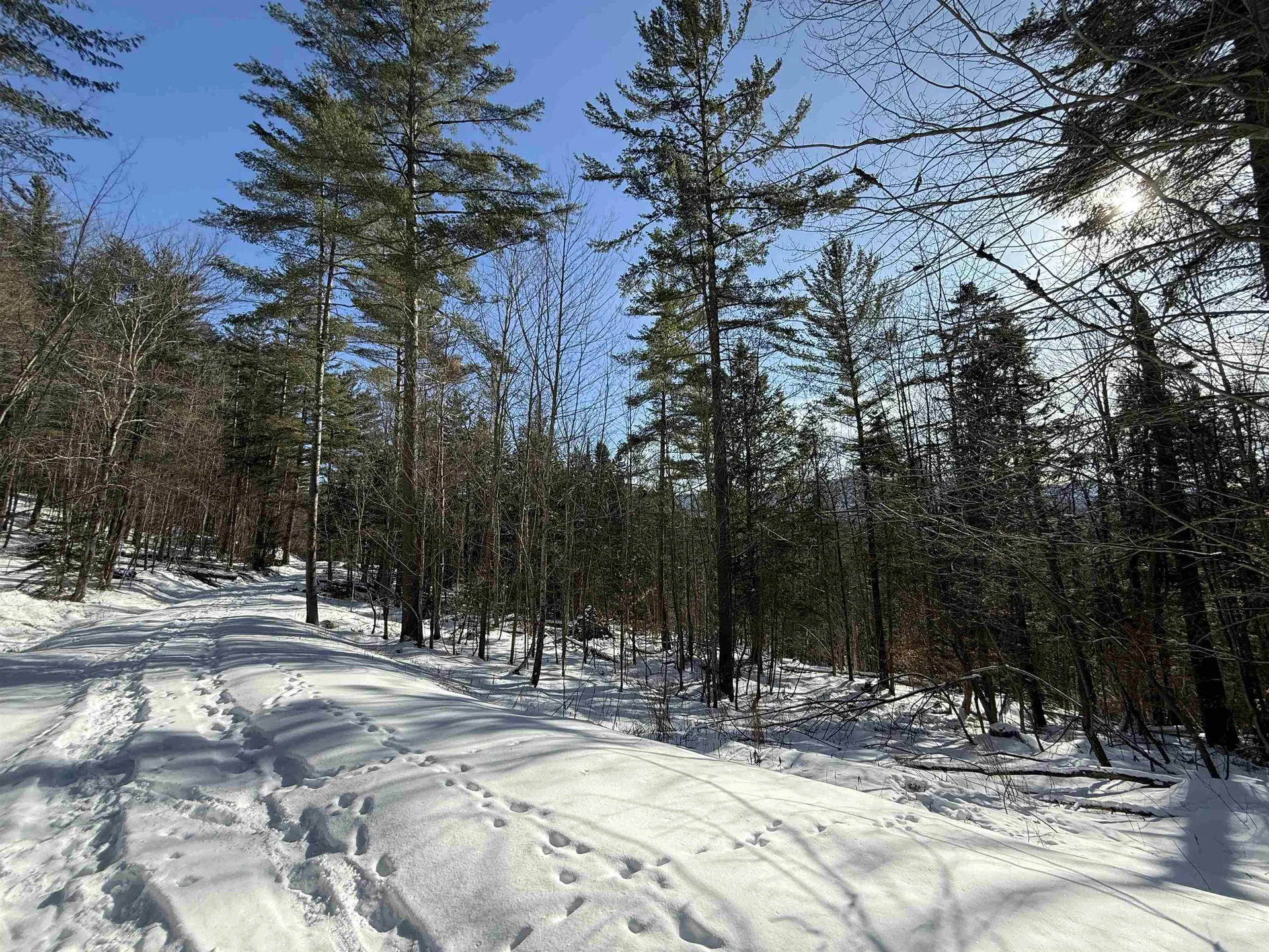 00 Brook Road Warren VT 05674