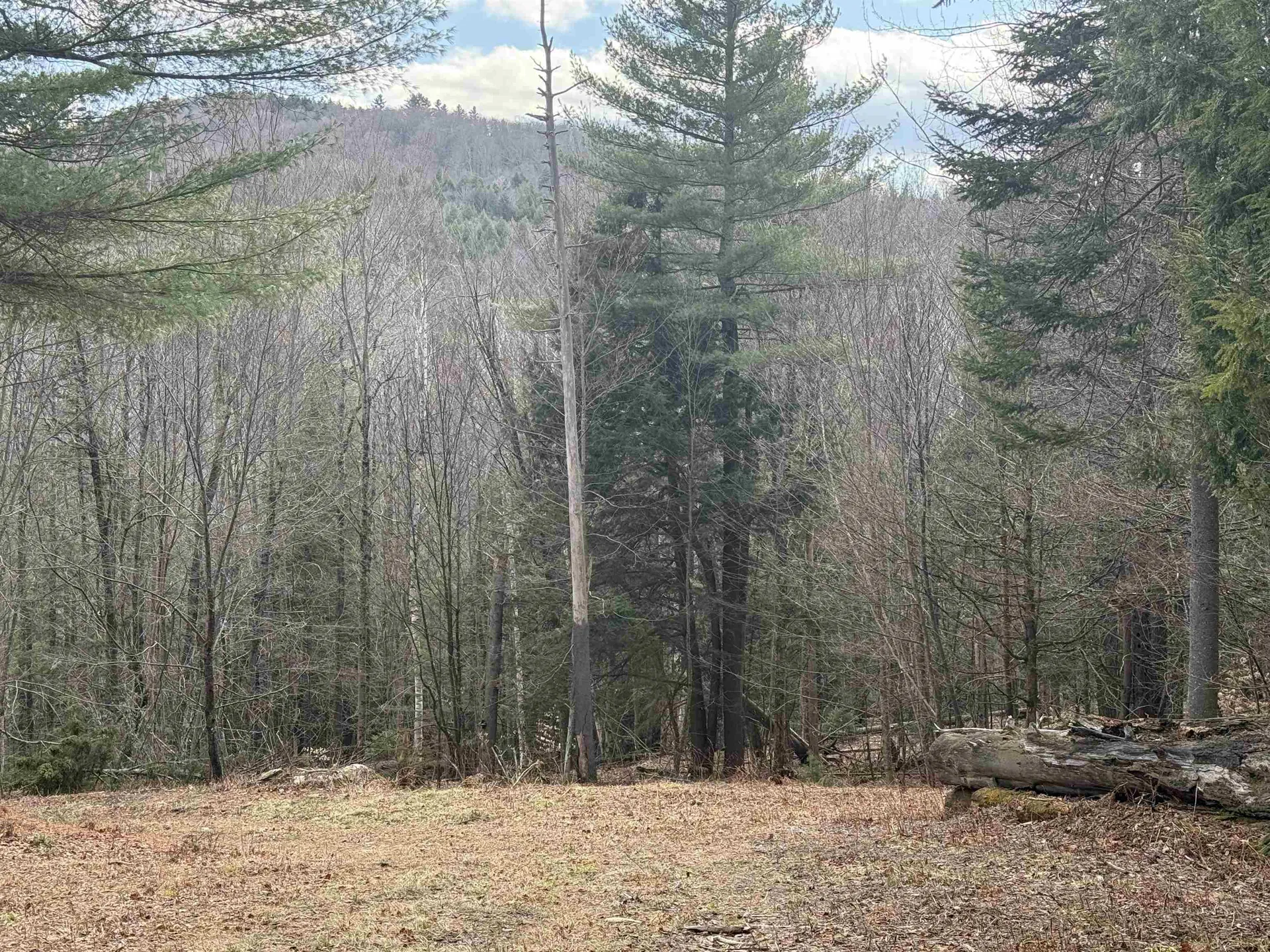 00 Brook Road Warren VT 05674