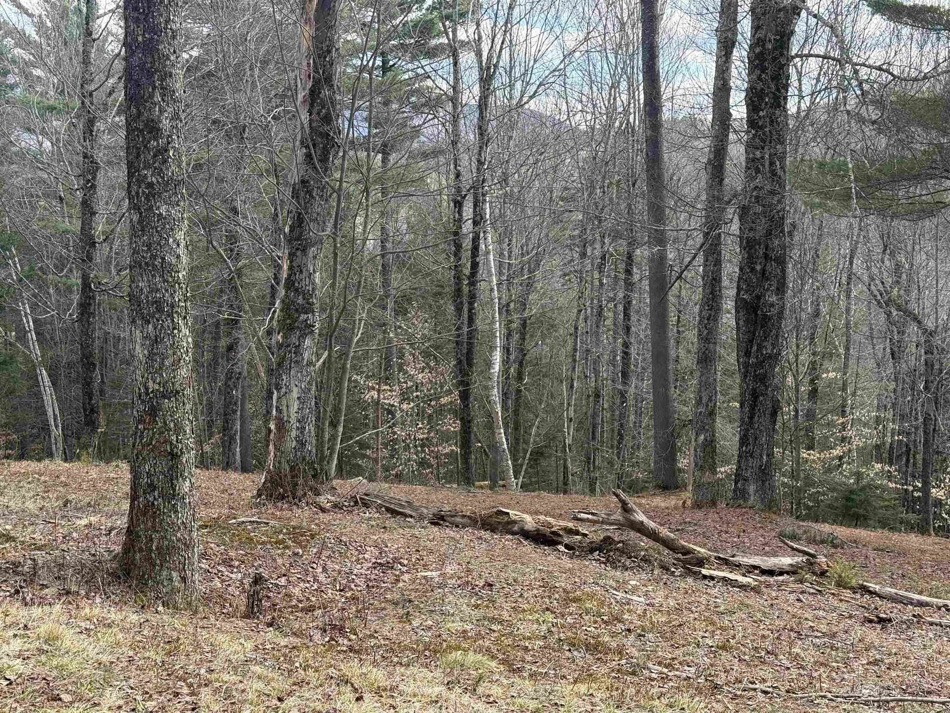 00 Brook Road Warren VT 05674