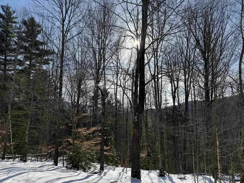 00 Brook Road Warren VT 05674