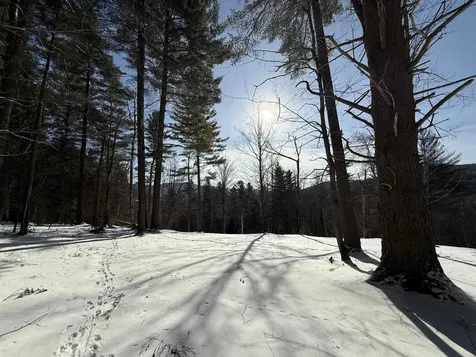 00 Brook Road Warren VT 05674