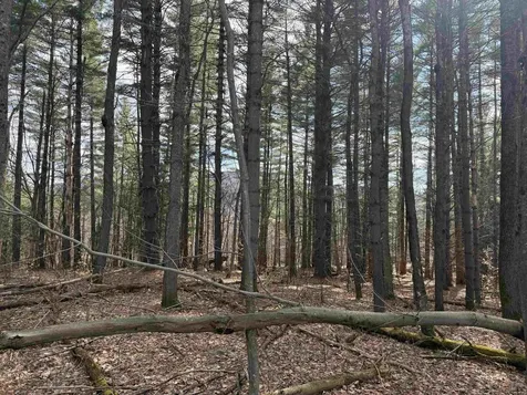 00 Brook Road Warren VT 05674