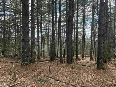 00 Brook Road Warren VT 05674