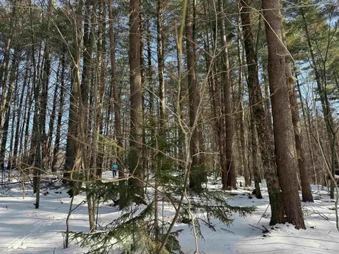 00 Brook Road Warren VT 05674