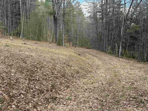 00 Brook Road Warren VT 05674