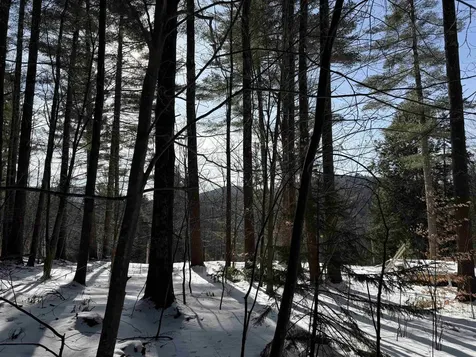 00 Brook Road Warren VT 05674