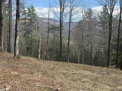 00 Brook Road Warren VT 05674