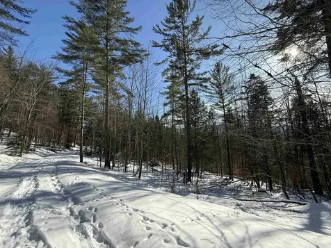 00 Brook Road Warren VT 05674