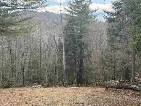 00 Brook Road Warren VT 05674