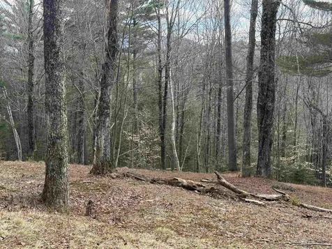 00 Brook Road Warren VT 05674