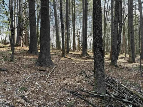 00 Brook Road Warren VT 05674