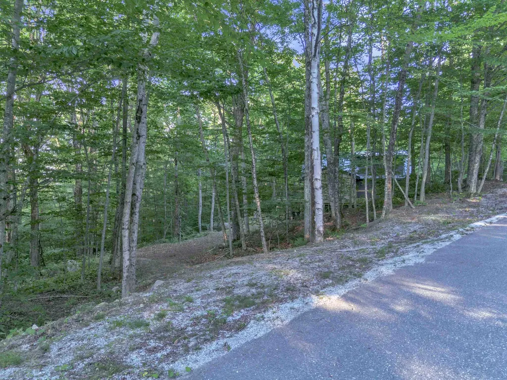 373 Tanglewood Drive Killington VT 05751