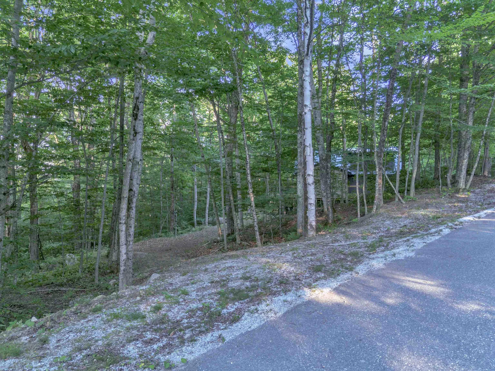 373 Tanglewood Drive Killington VT 05751