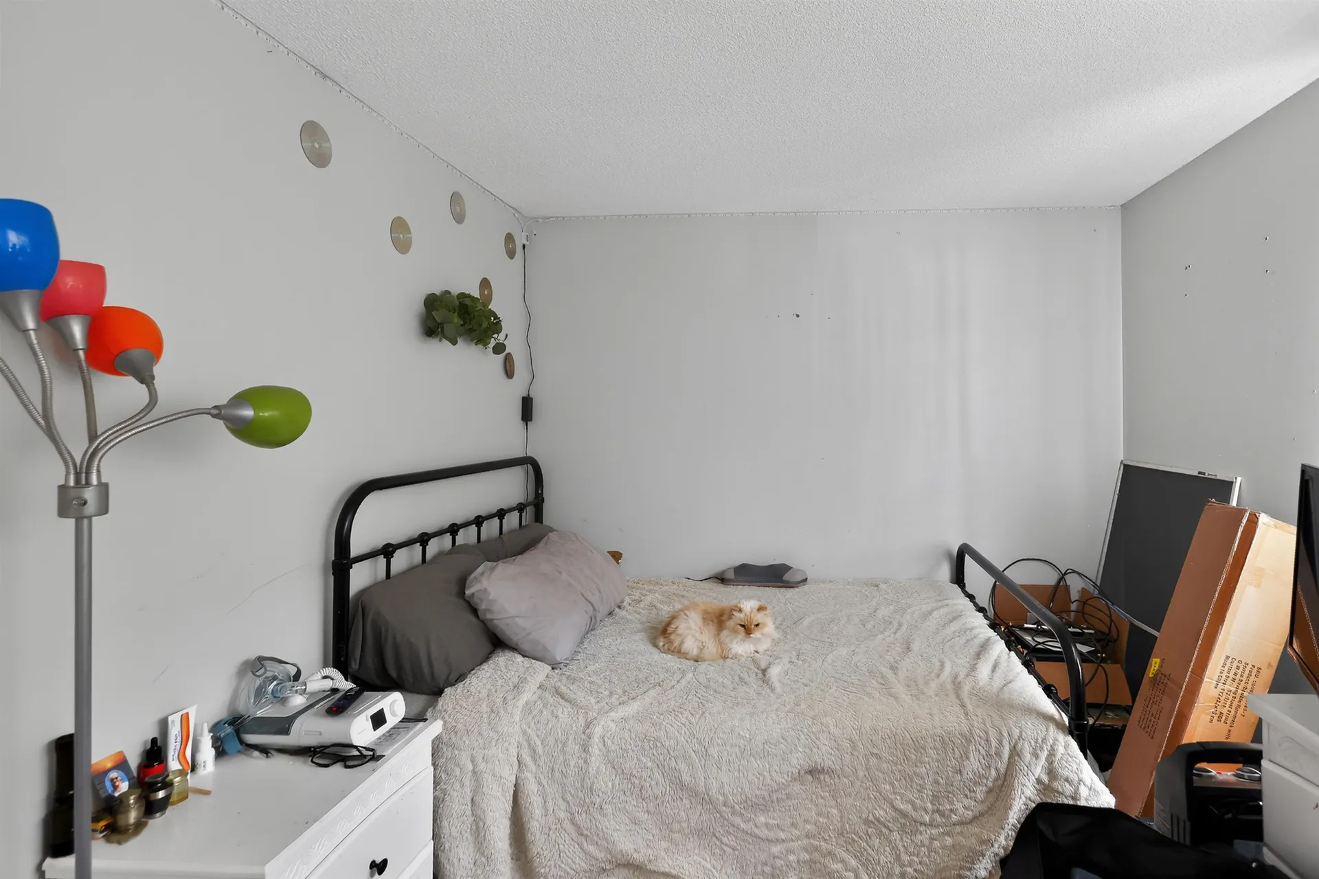 35 Winterhill Road Goffstown NH 03045