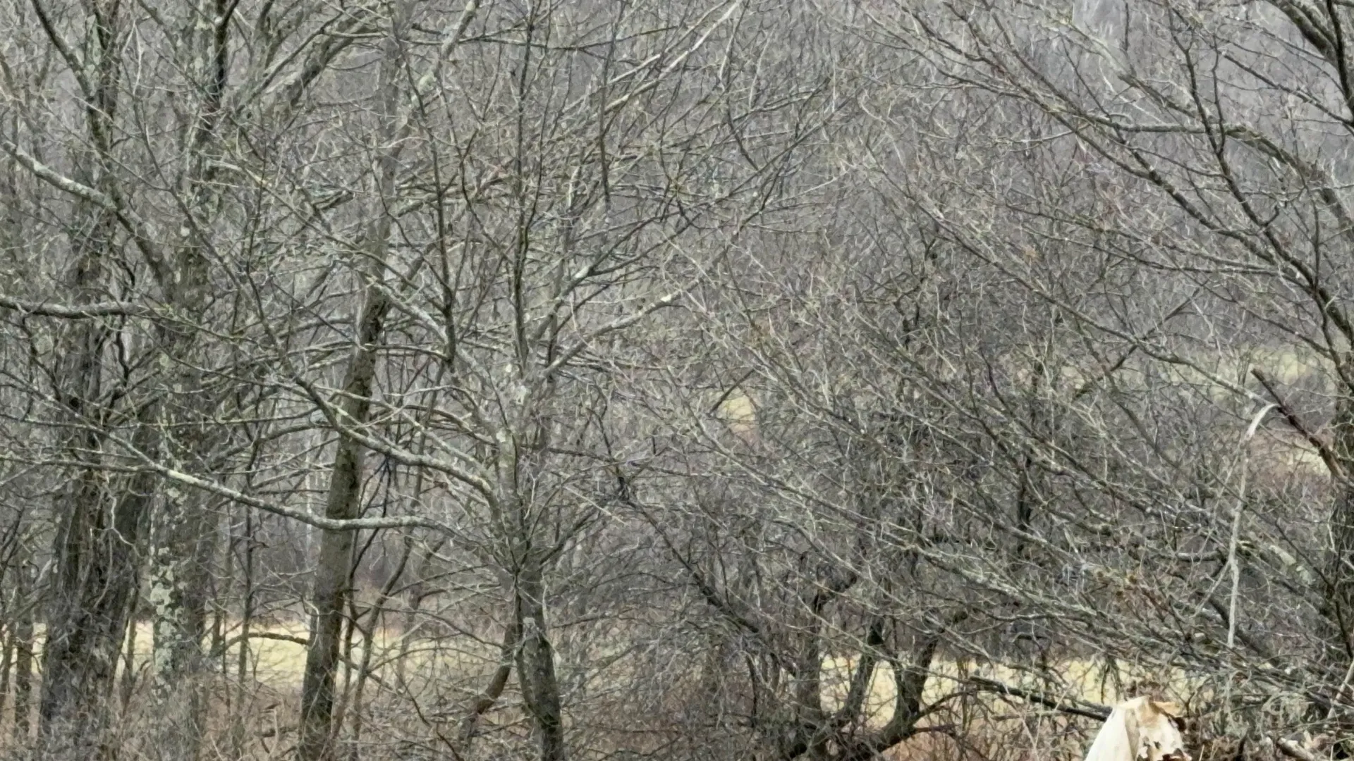 0 Suncrest Road Rupert VT 05775