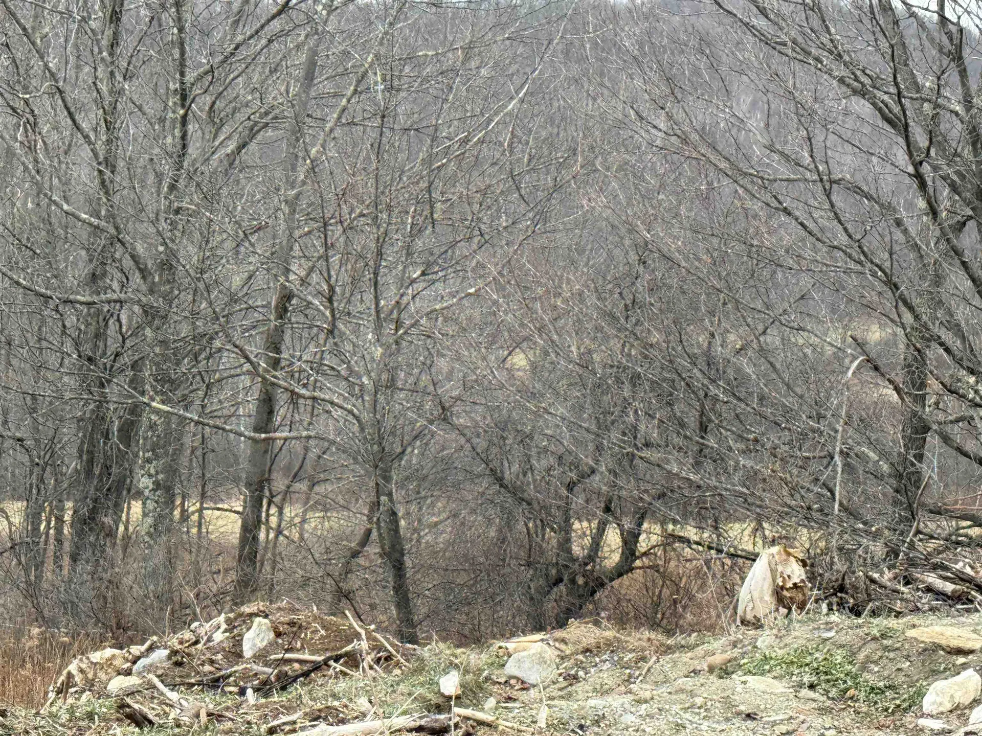 0 Suncrest Road Rupert VT 05775