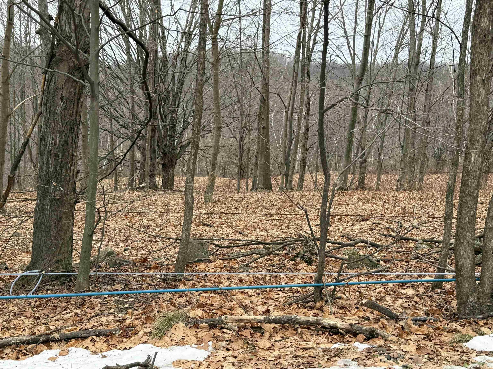 0 Suncrest Road Rupert VT 05775