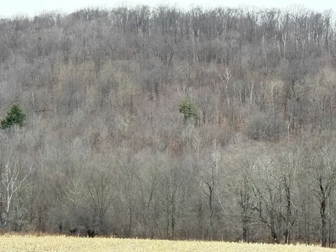 0 Suncrest Road Rupert VT 05775