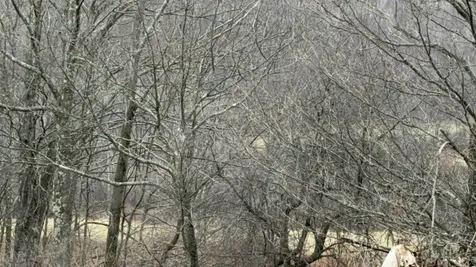 0 Suncrest Road Rupert VT 05775